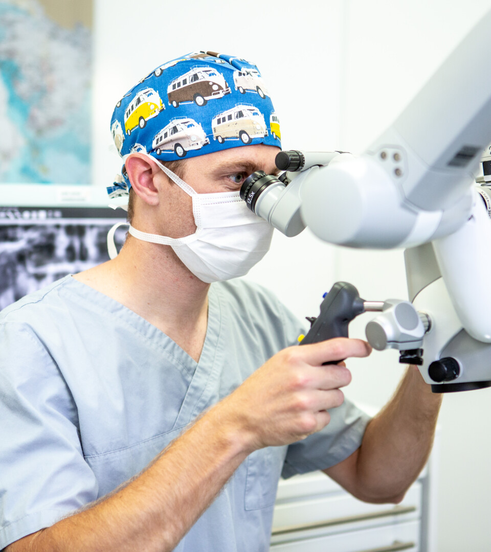 Endodontie